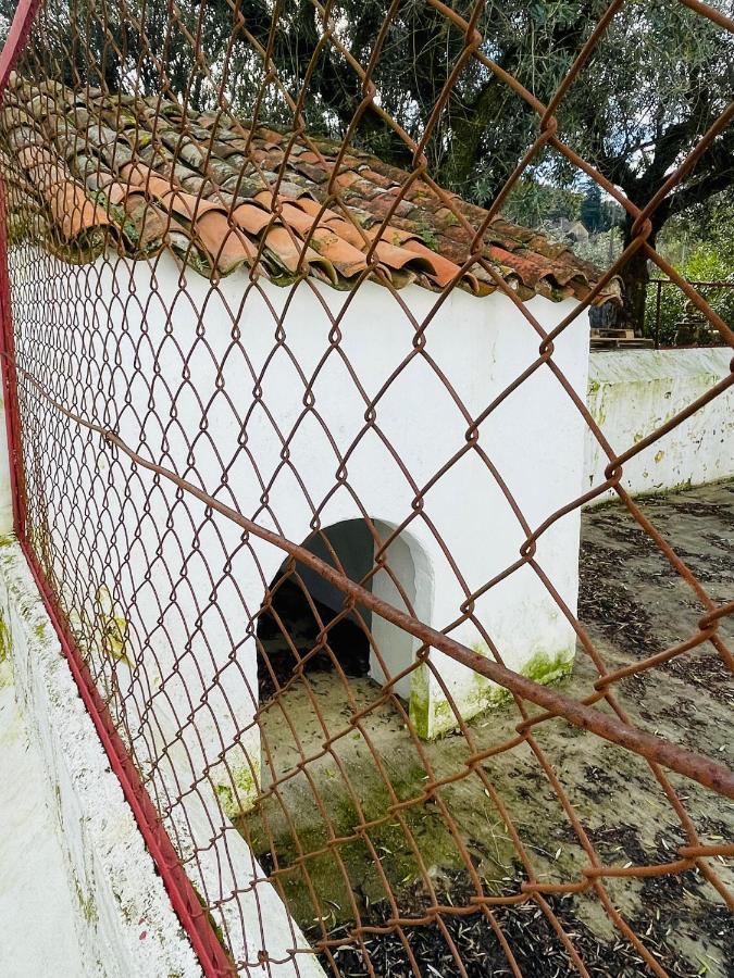 Casa Do Martinho Konuk evi Castelo de Vide Dış mekan fotoğraf
